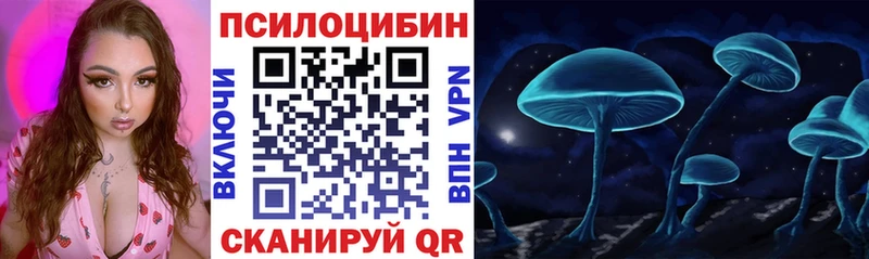 Галлюциногенные грибы Psilocybine cubensis  наркота  Кирс 